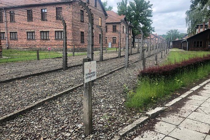 Auschwitz-Birkenau and Wieliczka Salt Mine Museum Guided Tour from Krakow - English guide quality and the role of drivers