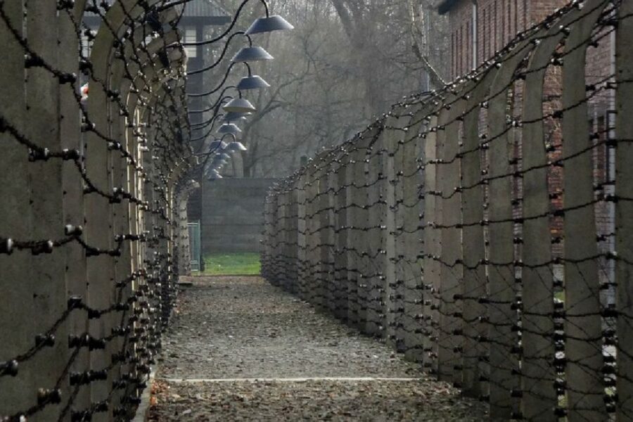 Auschwitz-Birkenau Guided Tour & Transfer from Krakow - Key things that make this tour work