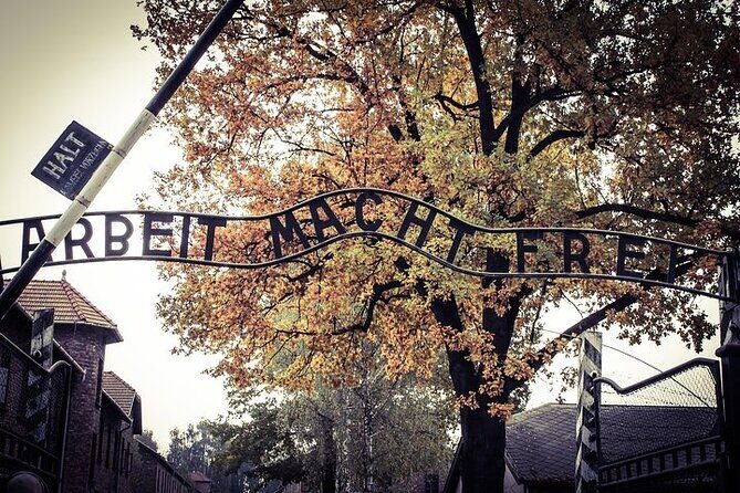 Auschwitz-Birkenau Memorial Entrance Ticket and Guided Tour - The jump to Birkenau (Auschwitz II): Brzezinka and the largest camp’s scale