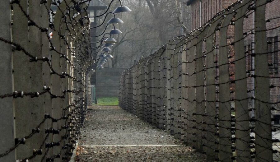 Auschwitz-Birkenau Tour from Katowice with Private Transfers - Accessibility and Movement: What the Site’s Reality Means