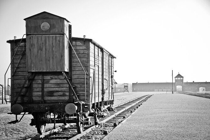 Auschwitz Birkenau Transfer and Guide with Salt Mine Combo Option - Guides and drivers: where the tour feels smooth in real life