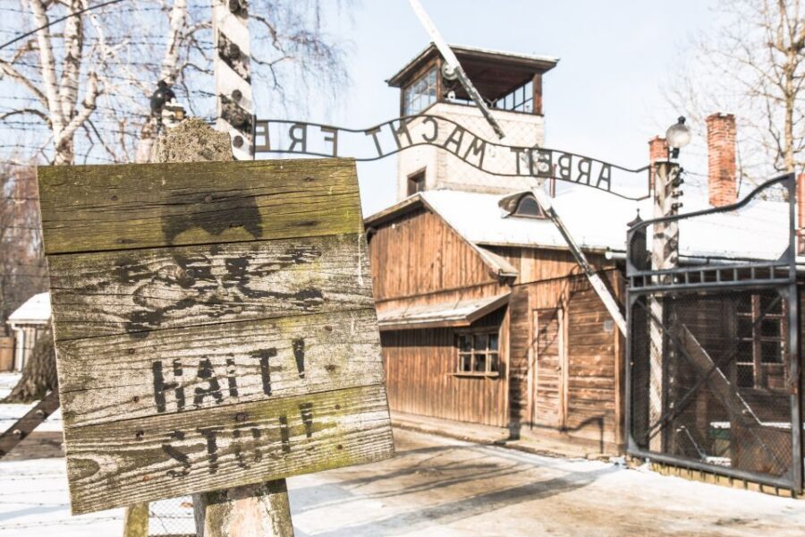 From Krakow: Auschwitz and Wieliczka Salt Mine Full-Day Trip - Value for the $30 price: what you’re really paying for