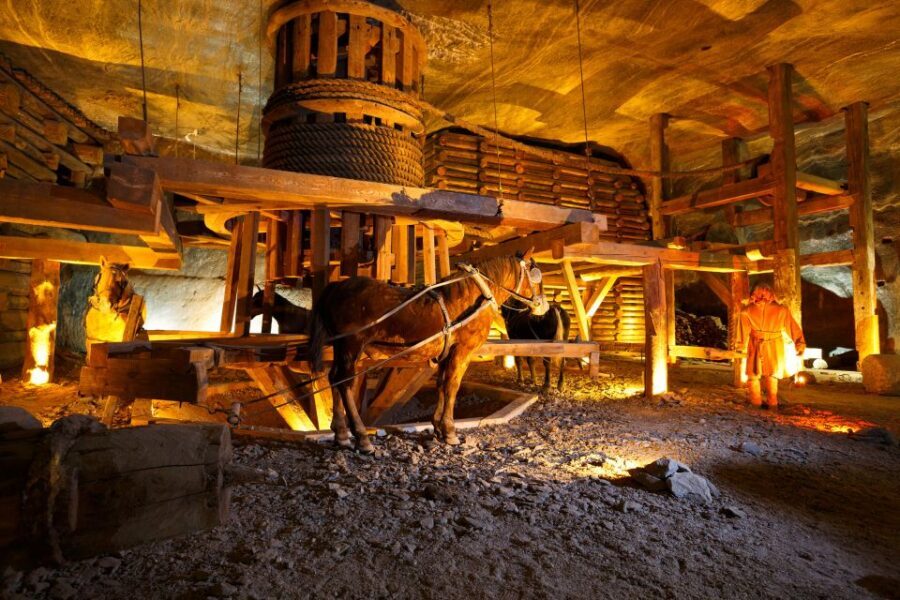 From Krakow: Auschwitz-Birkenau & Salt Mines with Lunch - Key highlights to know before you go