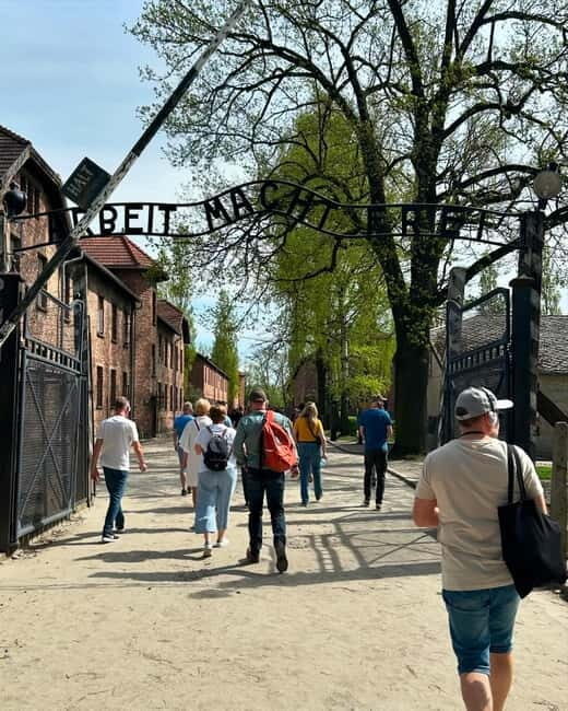 From Krakow: Auschwitz-Birkenau & Wieliczka Salt Mine Tour - Auschwitz-Birkenau: how the guided museum visit is set up