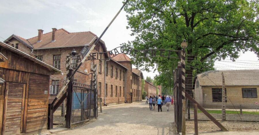Krakow: Auschwitz and Wieliczka Salt Mine Combo Tour - How the day really runs: early pickup, queues, and timing