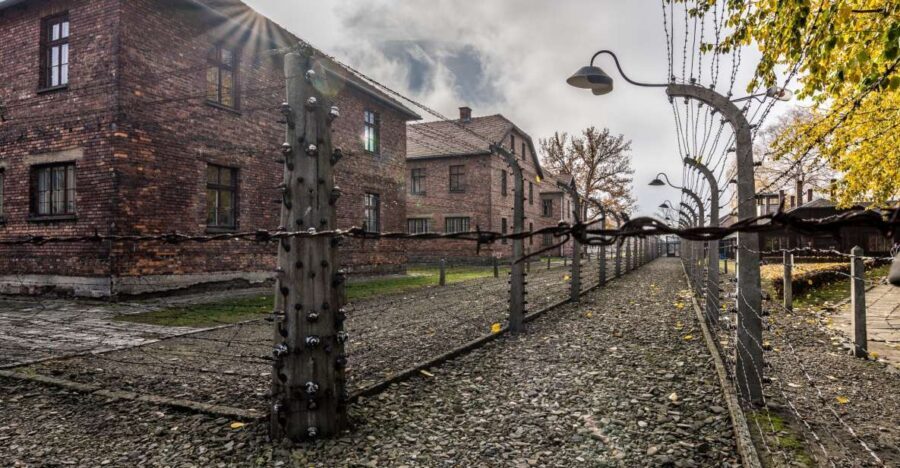 Kraków: Auschwitz-Birkenau & Salt Mine Full-Day Guided Tour - How the day actually runs from Krakow (and why the order can help)