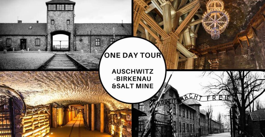 Krakow: Full-Day Auschwitz-Birkenau & Salt Mine Guided Tour - Leaving Kraków: bus time, comfort breaks, and why timing matters