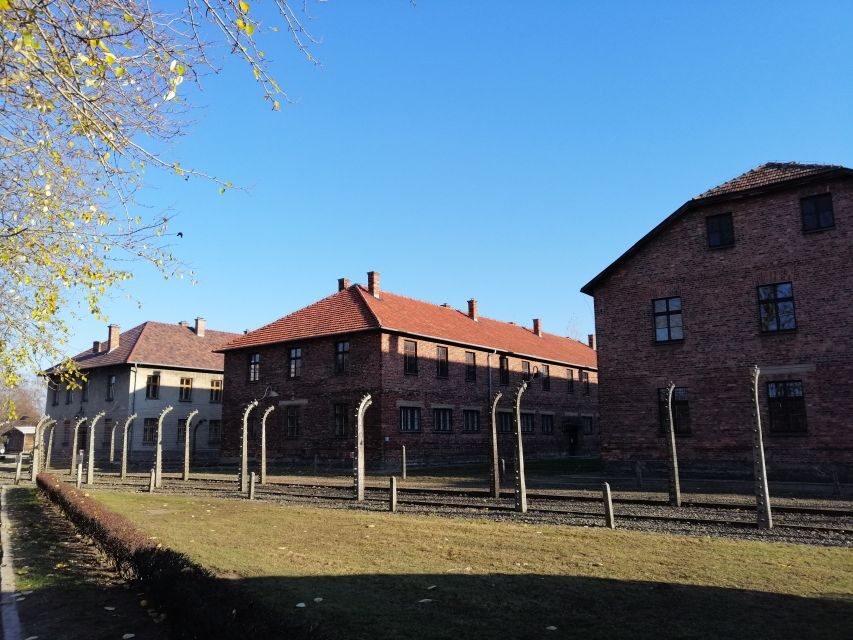Warsaw: Auschwitz-Birkenau and Krakow Tour by Car - Who this tour fits best (and who should reconsider)