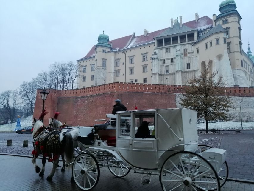 Warsaw: Tour to Krakow and Auschwitz by Train with Pickup - Key highlights worth your attention